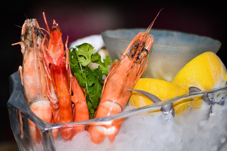 Indigo new Menu Launching